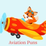 Aviation Puns