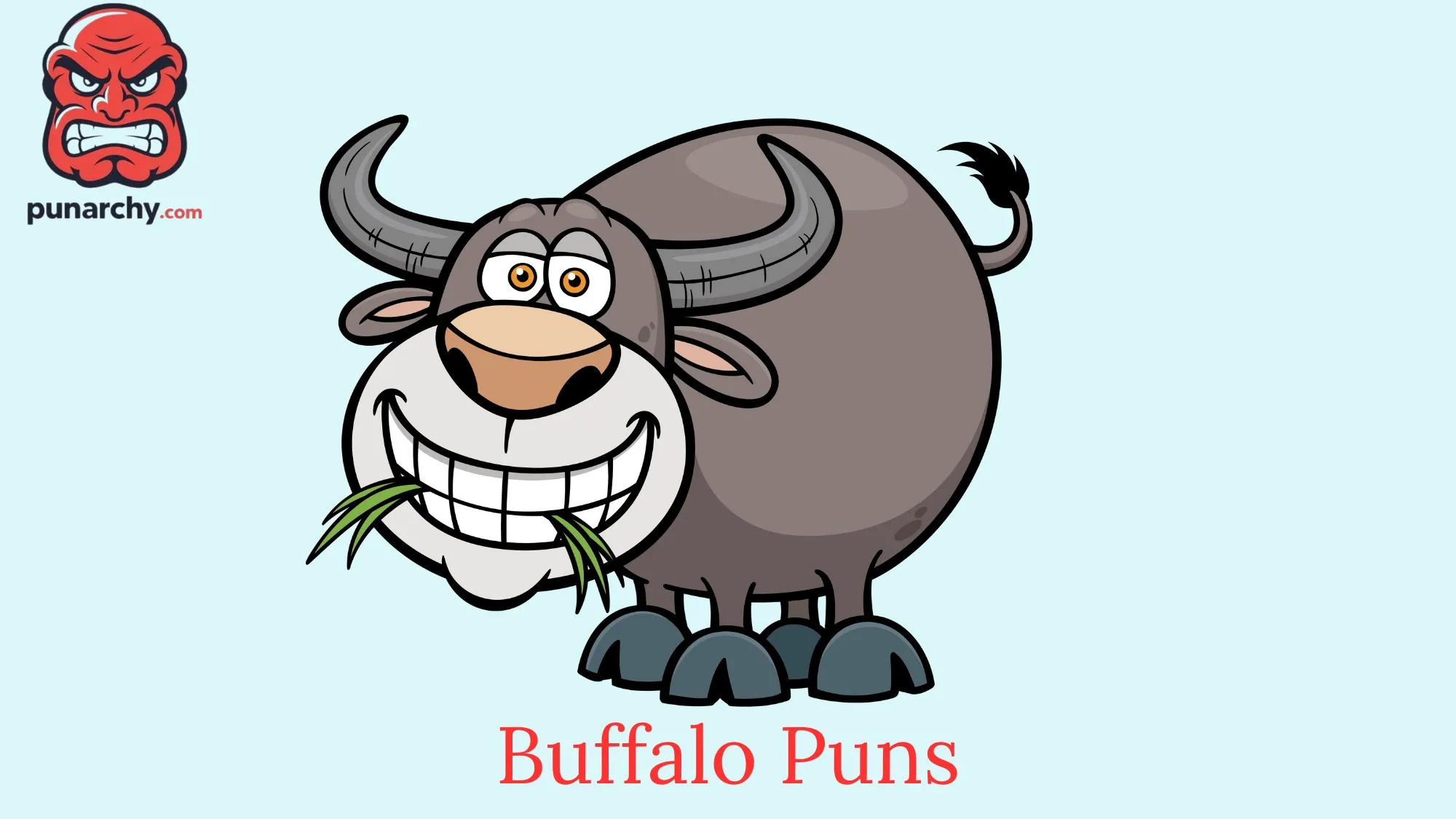 Buffalo Puns