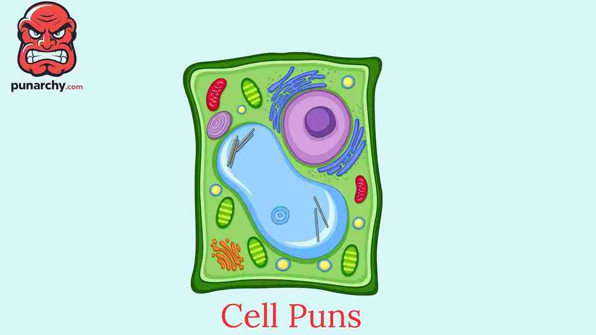 Cell Puns
