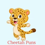 cheetah puns