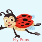 fly puns