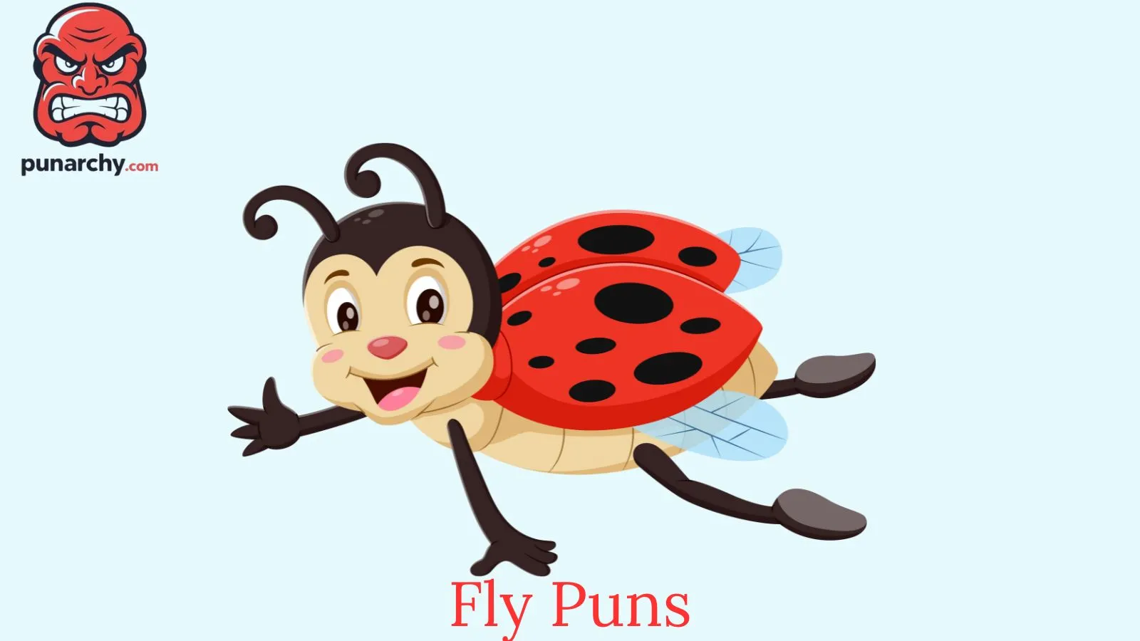 fly puns
