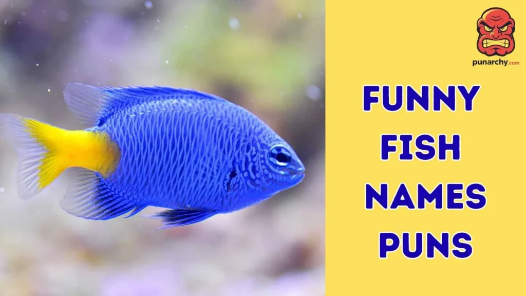 Funny Names Fish