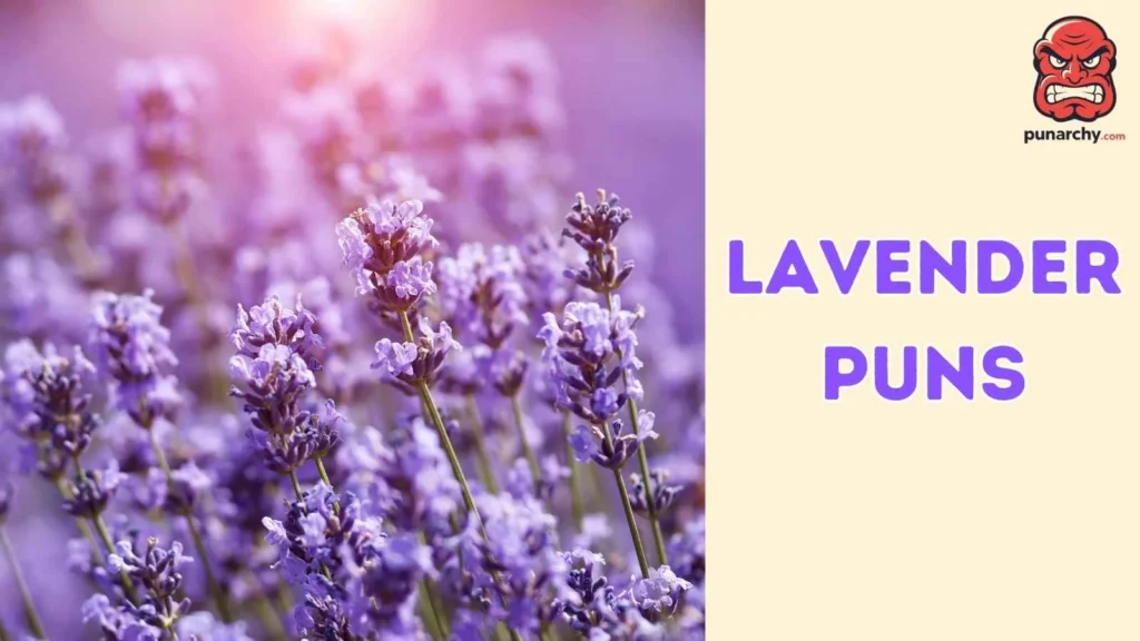Lavender Puns Captions