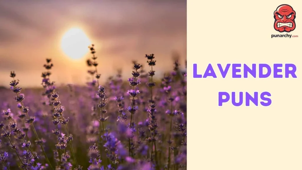 Lavender Puns Dirty