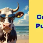 Cow Puns