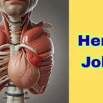 Hernia Jokes
