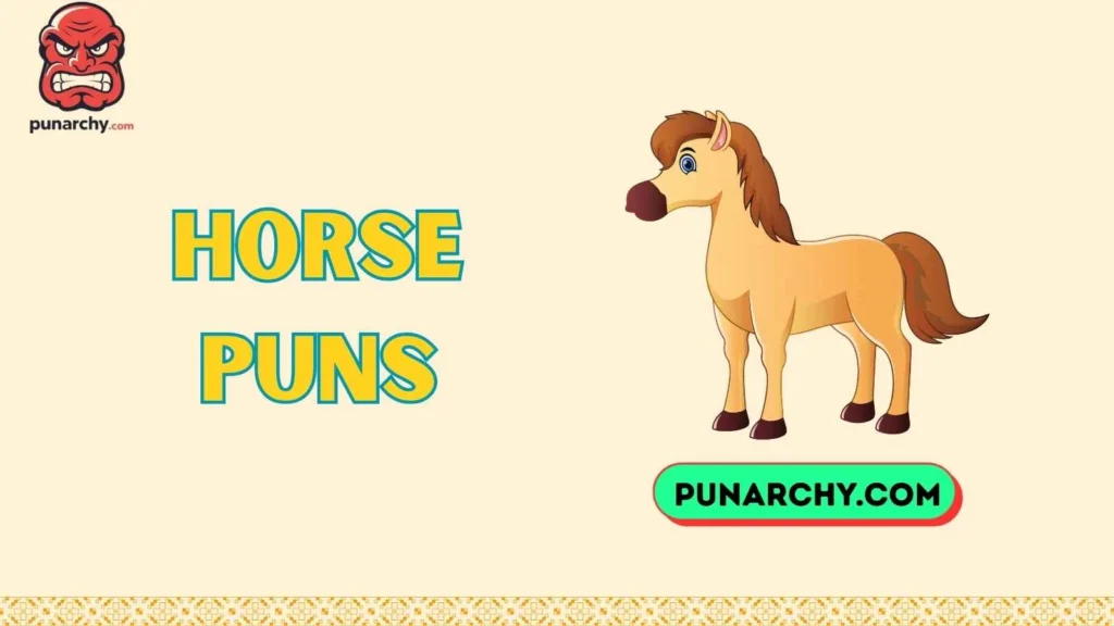Horse Puns One Liners