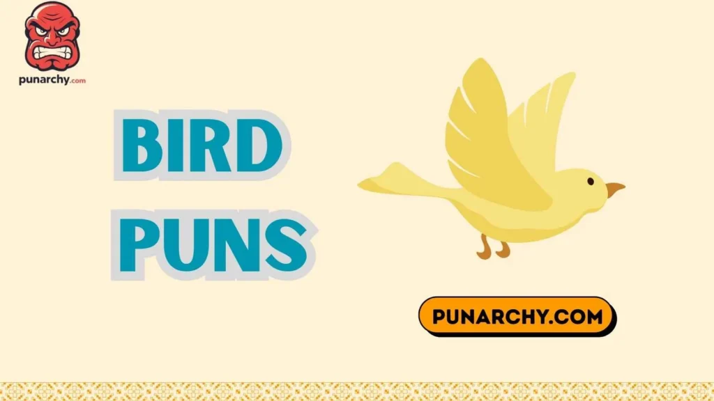 Silly Bird Puns for Kids
