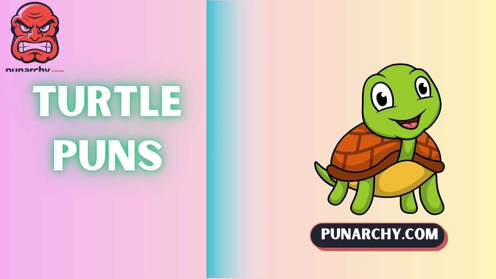 Turtle Puns
