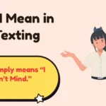 IDM Mean in Texting