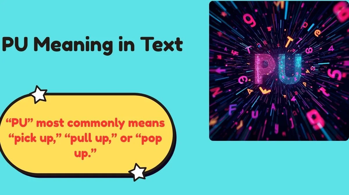 PU Meaning in Text