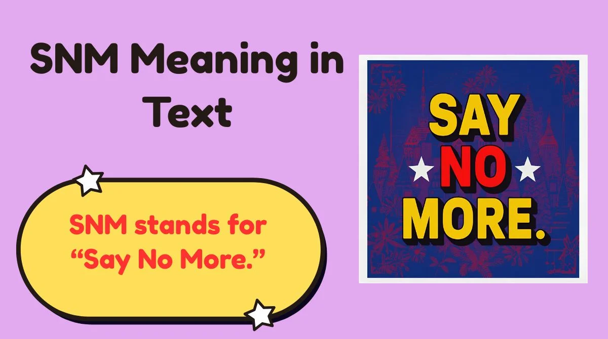 SNM Meaning in Text