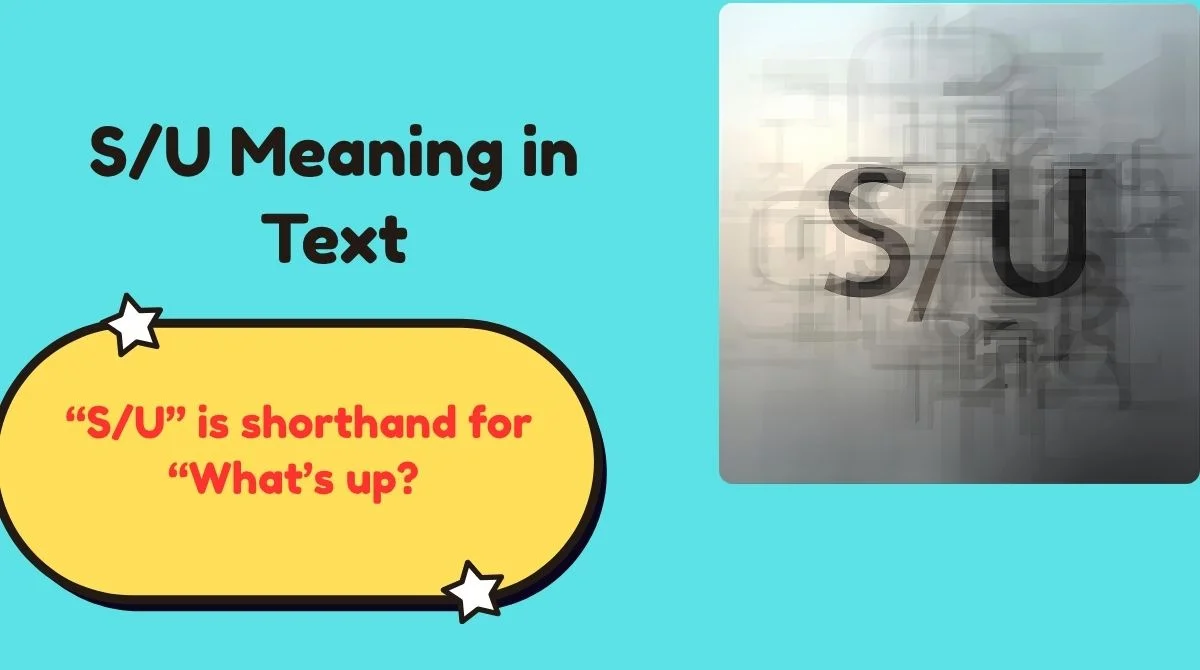S/U Meaning in Text