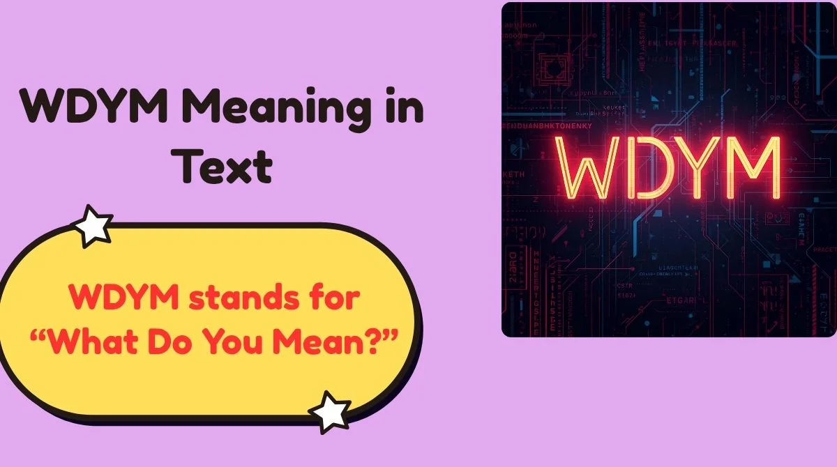 WDYM Meaning in Text